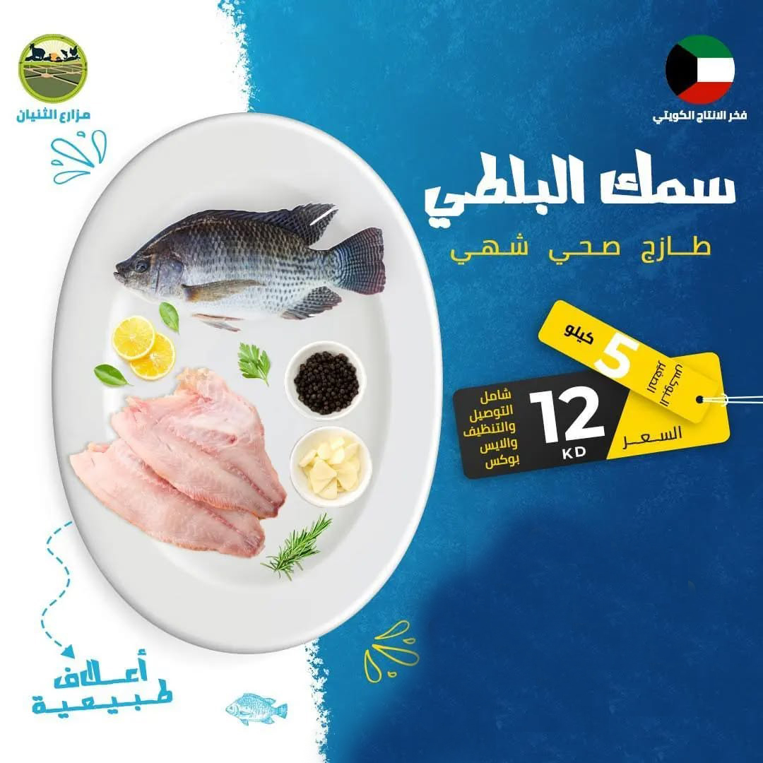 البوكس الصغير - سمك البلطي